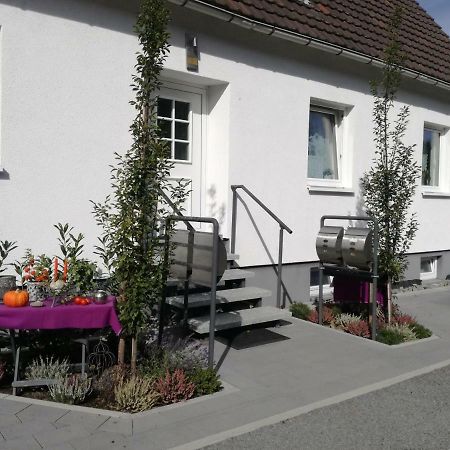 Ferienwohnung Nitsche باد لاسفه المظهر الخارجي الصورة